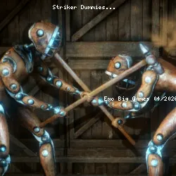 Striker Dummies