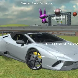 Sports Cars Driver