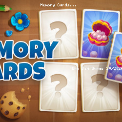 Memory Cards