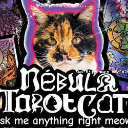 Nébula Tarot Cat
