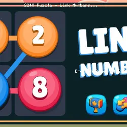 2248 Puzzle - Link Numbers
